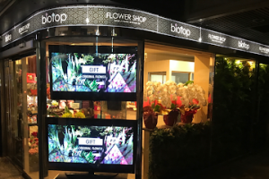 biotop ビオトープ 心斎橋店 – 大阪市