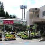 アミューズフラワーセンター 園芸 – 戸田市