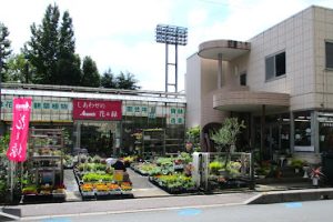 アミューズフラワーセンター 園芸 – 戸田市