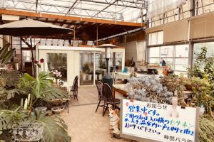 神部バラ園 - 海老名市 8 神部バラ園 – 海老名市