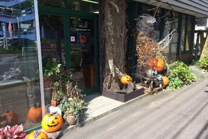 きこうえん – 函館市